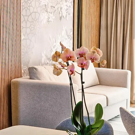 The New Hotel Mediteran - Villa Edition Ulcinj Room photo